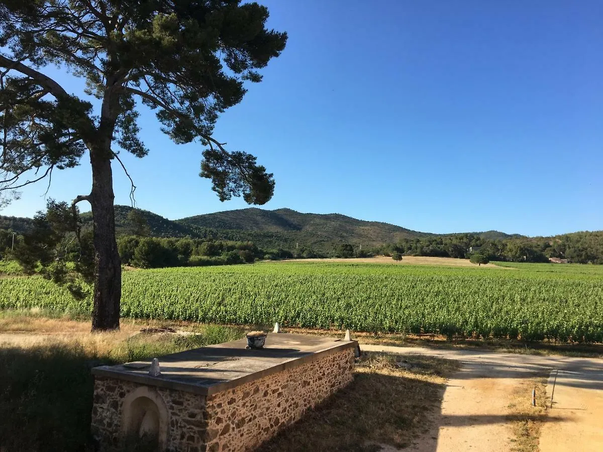 Le Chateau Des Anglades Hyères Ferienhaus